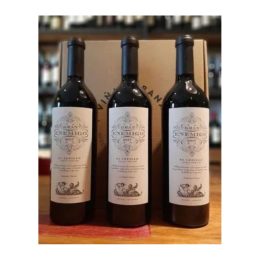 Vinos Gran Enemigo Cabernet Franc El Cepillo Caja Cartón X3.