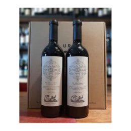 Vinos Gran Enemigo Cabernet Franc El Cepillo Caja Cartón X2.