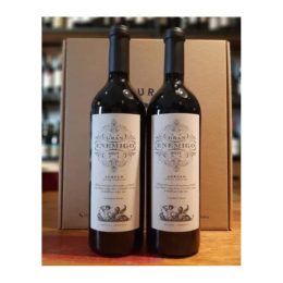 Vino Gran Enemigo Cabernet Franc Agrelo, Caja De Cartón X 2.