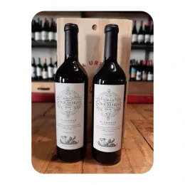 Gran Enemigo Cabernet Franc, El Cepillo en Caja Madera VIña x 2