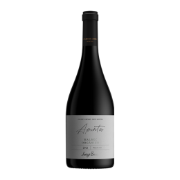 Luigi Bosca Los Apuntes Malbec Orgánico