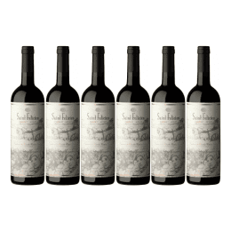 Saint Felicien Cabernet Merlot Caja X 6 Botellas