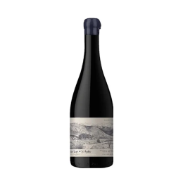 Un Lugar en Los Andes Malbec 2021, Sebastian Zuccardi & Walter Scibilia