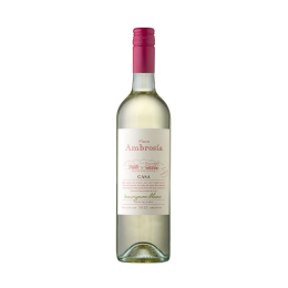 Casa Ambrosia Sauvignon Blanc