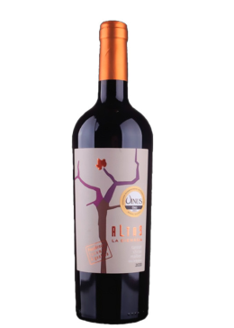 Altos La Ciénaga Trivarietal Tannat, Syrah, Malbec 2023