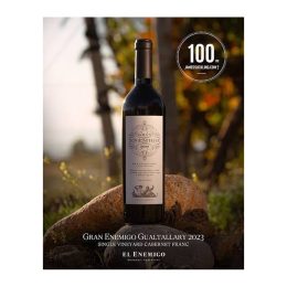 Gran Enemigo Cabernet Franc Gualtallary 2023 100 Puntos. James Suckling